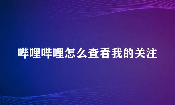 哔哩哔哩怎么查看我的关注