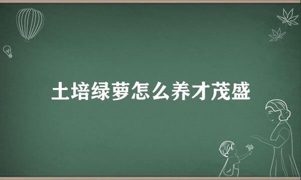 土培绿萝怎么养才茂盛