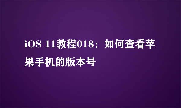 iOS 11教程018：如何查看苹果手机的版本号