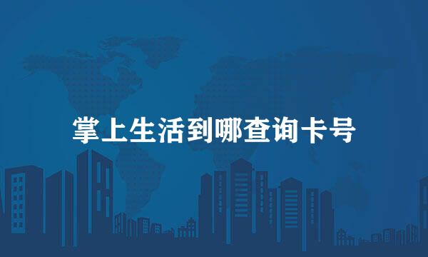 掌上生活到哪查询卡号