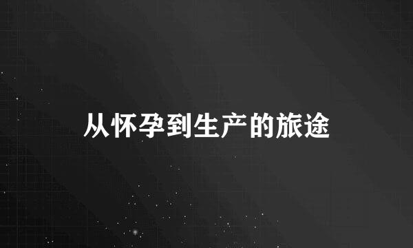 从怀孕到生产的旅途