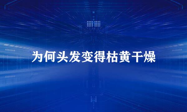 为何头发变得枯黄干燥