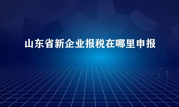 山东省新企业报税在哪里申报