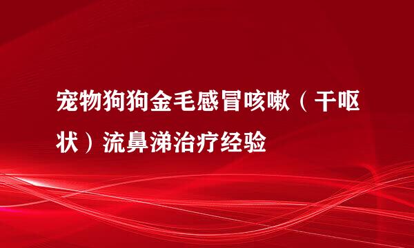 宠物狗狗金毛感冒咳嗽（干呕状）流鼻涕治疗经验