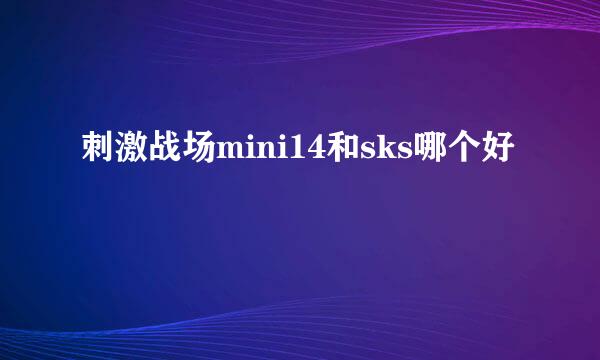 刺激战场mini14和sks哪个好