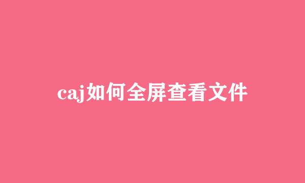 caj如何全屏查看文件