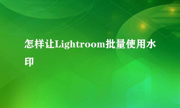怎样让Lightroom批量使用水印