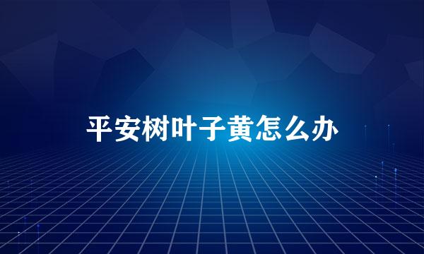 平安树叶子黄怎么办