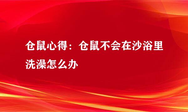 仓鼠心得：仓鼠不会在沙浴里洗澡怎么办