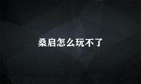 桑启怎么玩不了