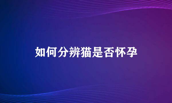 如何分辨猫是否怀孕