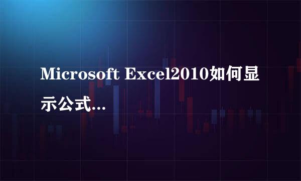 Microsoft Excel2010如何显示公式不显示结果