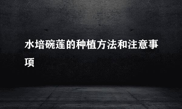水培碗莲的种植方法和注意事项