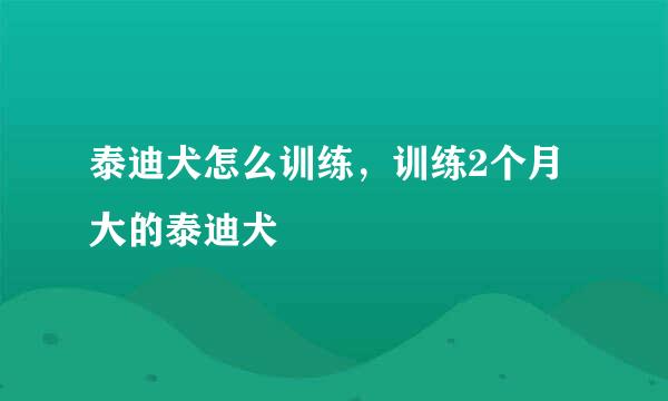 泰迪犬怎么训练，训练2个月大的泰迪犬