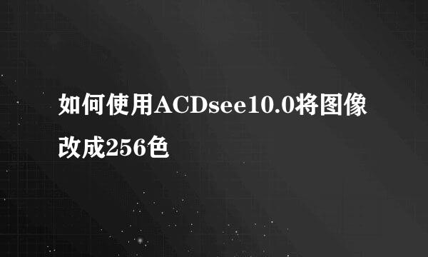 如何使用ACDsee10.0将图像改成256色