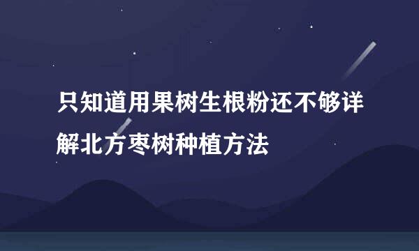 只知道用果树生根粉还不够详解北方枣树种植方法