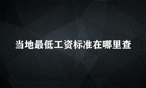 当地最低工资标准在哪里查