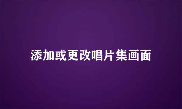 添加或更改唱片集画面