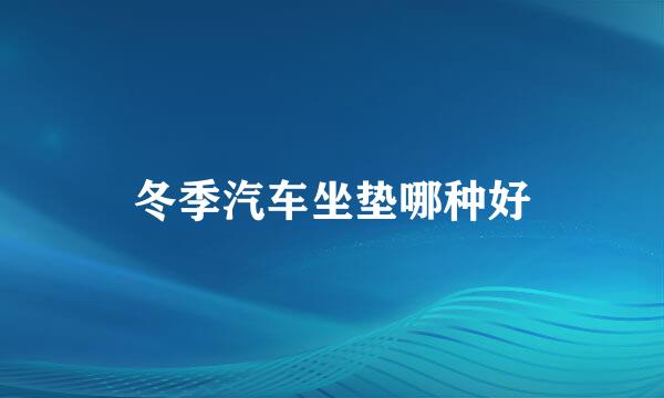 冬季汽车坐垫哪种好