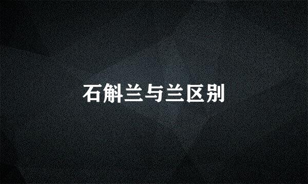 石斛兰与兰区别