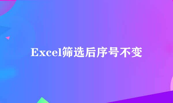 Excel筛选后序号不变