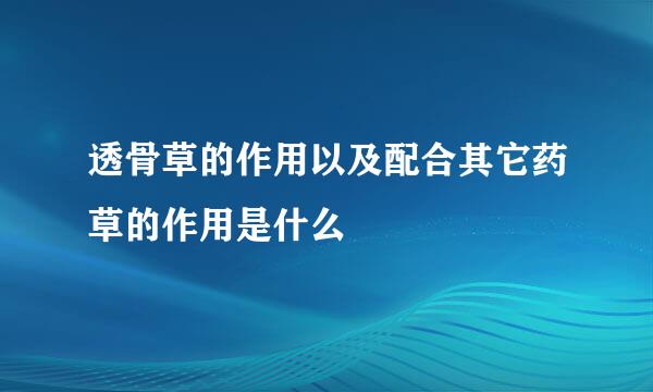 透骨草的作用以及配合其它药草的作用是什么