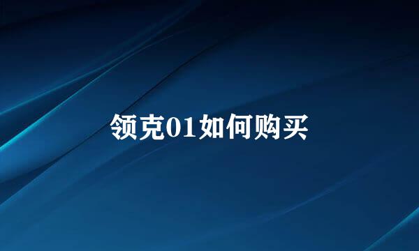 领克01如何购买