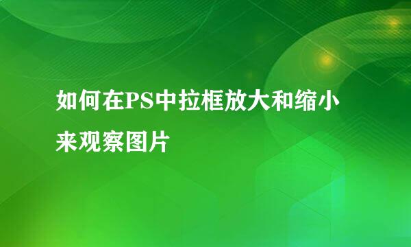 如何在PS中拉框放大和缩小来观察图片