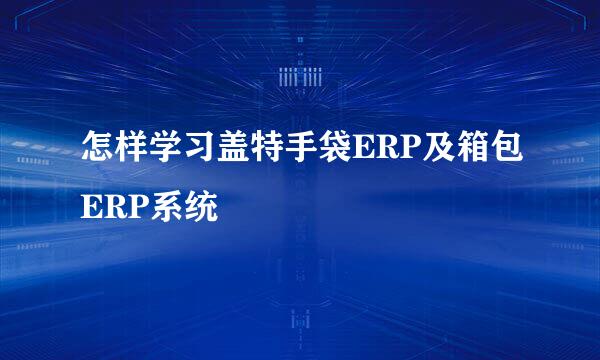 怎样学习盖特手袋ERP及箱包ERP系统