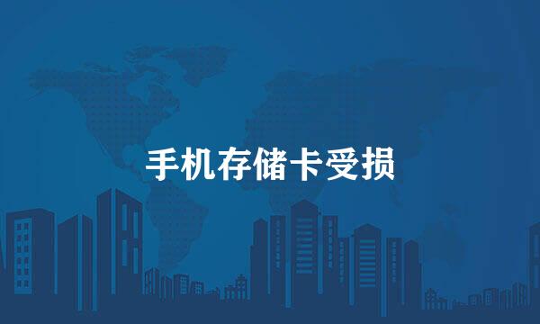 手机存储卡受损