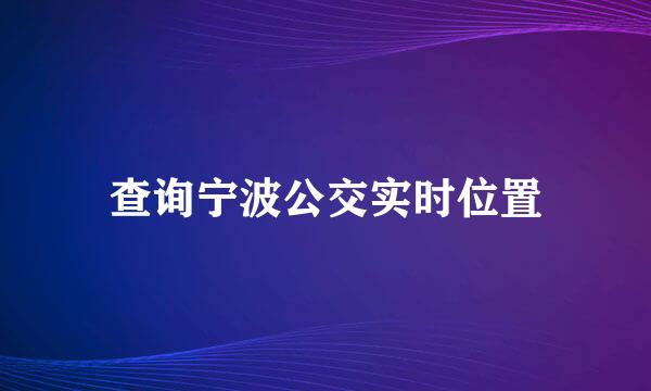 查询宁波公交实时位置