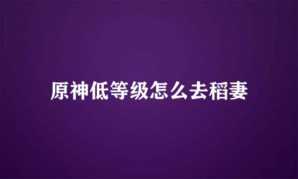 原神低等级怎么去稻妻