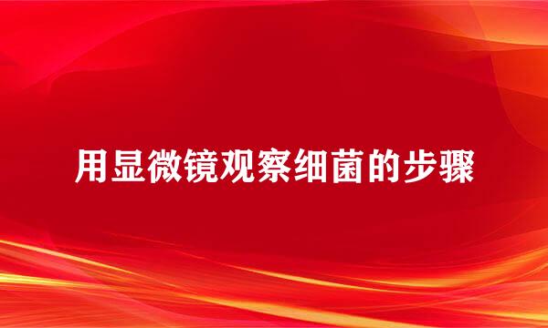 用显微镜观察细菌的步骤
