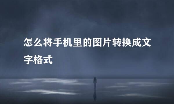 怎么将手机里的图片转换成文字格式