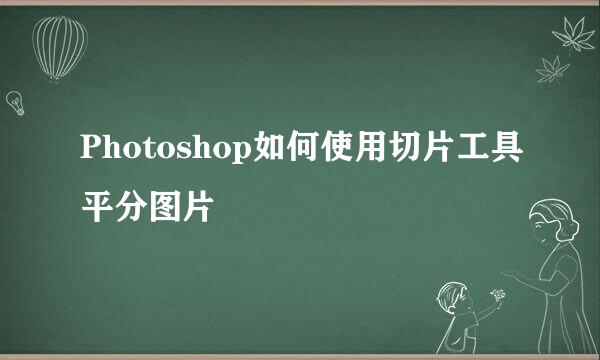 Photoshop如何使用切片工具平分图片