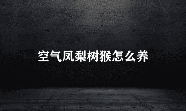 空气凤梨树猴怎么养