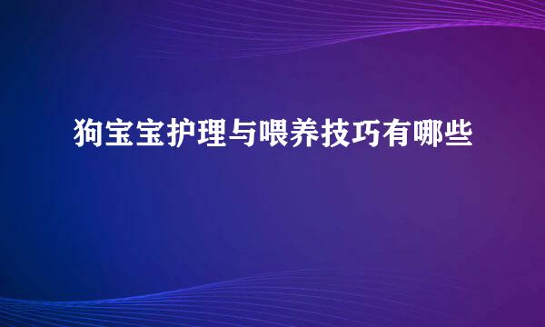 狗宝宝护理与喂养技巧有哪些