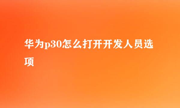 华为p30怎么打开开发人员选项