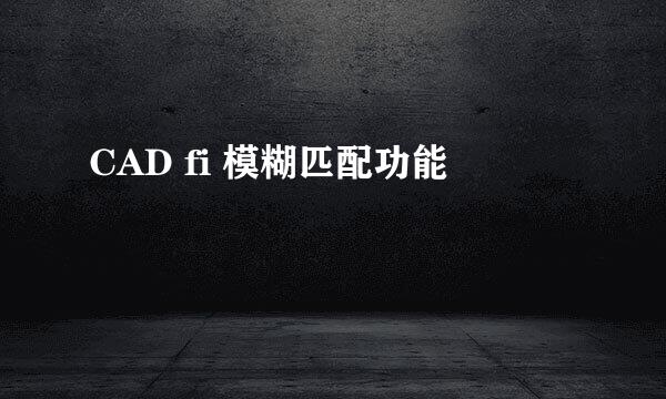 CAD fi 模糊匹配功能