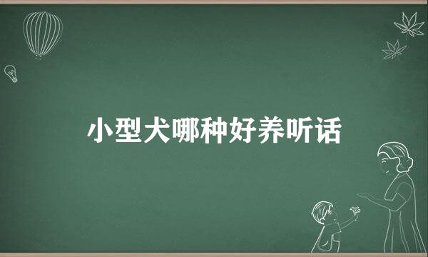 小型犬哪种好养听话