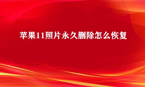 苹果11照片永久删除怎么恢复