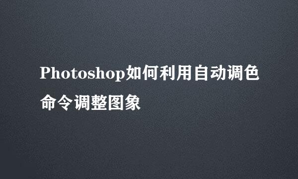 Photoshop如何利用自动调色命令调整图象