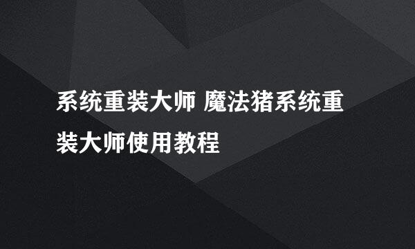 系统重装大师 魔法猪系统重装大师使用教程