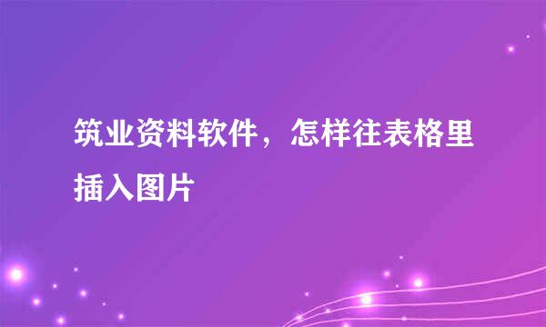 筑业资料软件，怎样往表格里插入图片