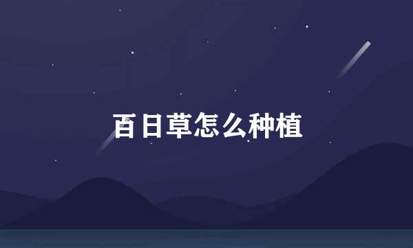 百日草怎么种植