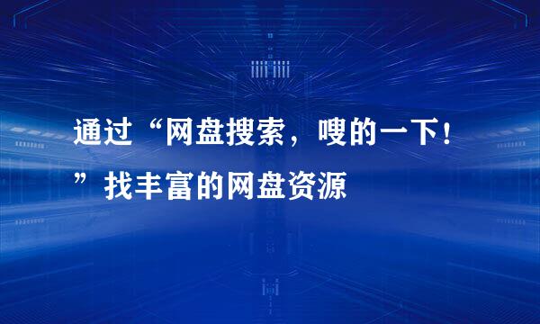 通过“网盘搜索，嗖的一下！”找丰富的网盘资源