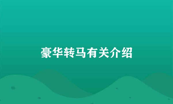 豪华转马有关介绍