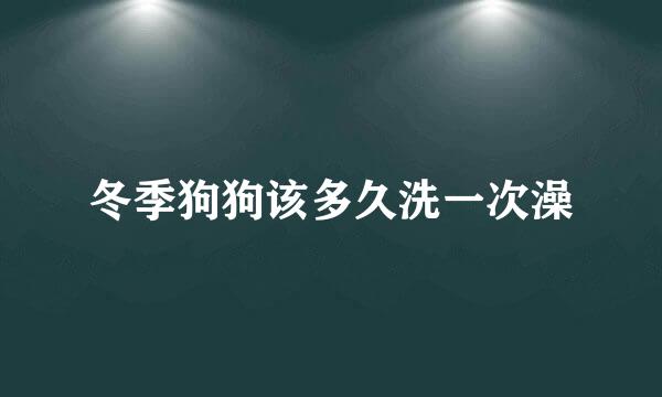 冬季狗狗该多久洗一次澡