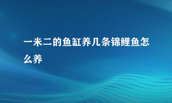 一米二的鱼缸养几条锦鲤鱼怎么养