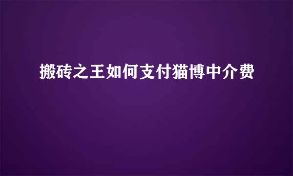 搬砖之王如何支付猫博中介费
